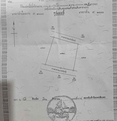 ขายที่ดินสวย ทำเลดี บรรยากาศร่มรื่น เหมาะสำหรับสร้างบ้านพักอาศัย ทำสวน หรือซื้อเก็บไว้เก็งกำไรในอนาคต - รูปที่ 8