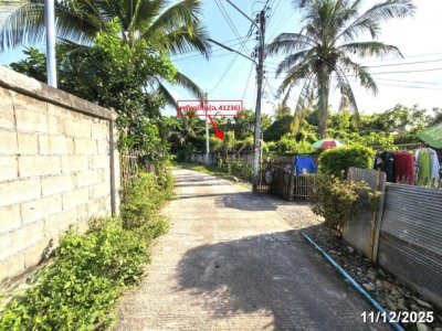 ขายโกดัง เชียงใหม่ ถนนสายบ้านทุ่งอ้อ-บ้านมะจำโรง ตำบลสันกลาง อำเภอสันป่าตอง - รูปที่ 7