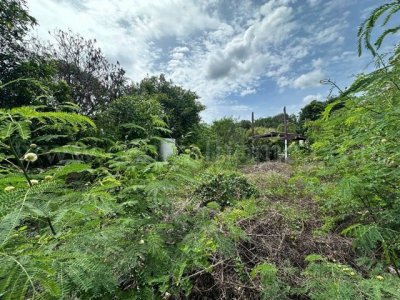 ที่ดิน 150 ตารางวา คลองสี่ ตะวันออก ถมแล้ว ราคาถูก ทำเลดี - รูปที่ 8
