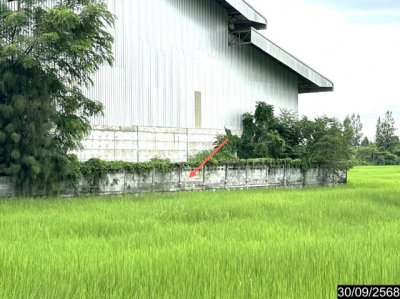 ขายโรงงาน ศรีสะเกษ ถนน สายบ้านตะเคียน ตำบล ปราสาทเยอ อำเภอ ไพรบึง จังหวัด ศรีสะเกษ - รูปที่ 3