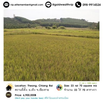 ขายที่ดิน 23 ไร่ อ.เทิง จ.เชียงราย ราคา 6.9 ล้านบาท - รูปที่ 7