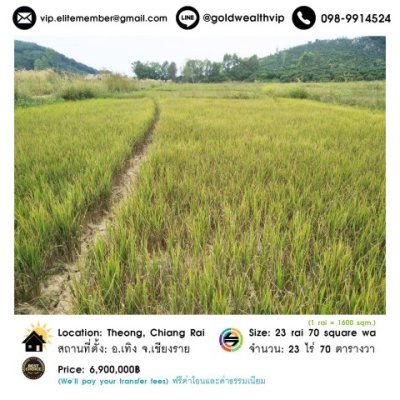 ขายที่ดิน 23 ไร่ อ.เทิง จ.เชียงราย ราคา 6.9 ล้านบาท - รูปที่ 3