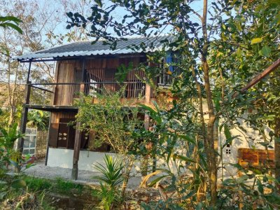 ขายถูกมาก!! บ้านสวน ขนาด 168 ตร.ว. พร้อมบ่อน้ำ ทำเลดี อ.หางดง เชียงใหม่ ใกล้บิ๊กซี โรงเรียนนานาชาติฯ - รูปที่ 3