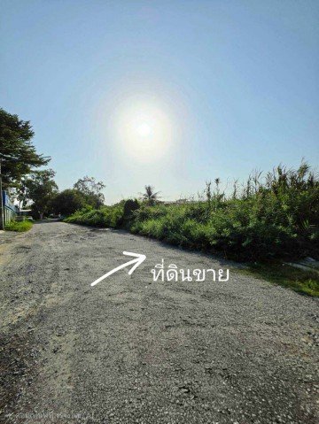 ขายที่ดินปทุมธานี แปลงมุม อำเภอเมือง ถนนปทุมธานีสายใน - รูปที่ 6