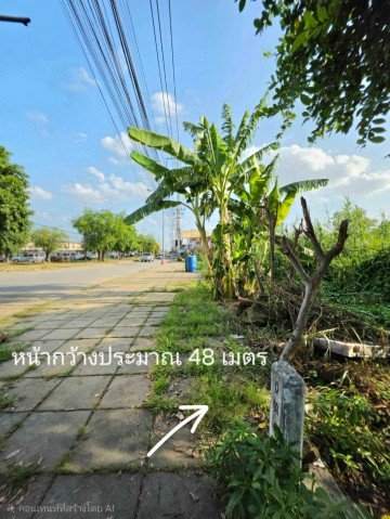 ขายที่ดินปทุมธานี แปลงมุม อำเภอเมือง ถนนปทุมธานีสายใน - รูปที่ 5