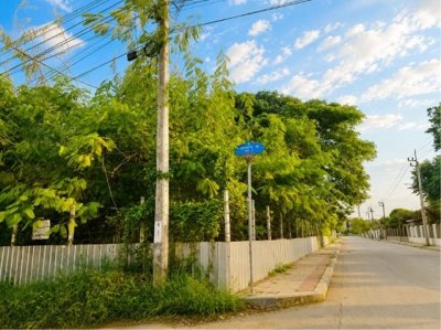 ขายที่ดินกรุงเทพกรีฑา 18 แยก 1 เนื้อที่ 421 ตร.ว. ถมแล้ว ใกล้โรงเรียนนานาชาติเวลลิงตัน - รูปที่ 7