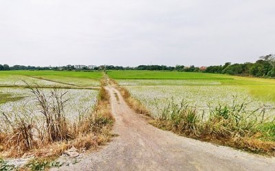 ที่ดิน2.5แสนต่อไร่ รวม3ไร่กว่า 8.8แสนบาท  ใกล้บ้านเอื้ออาทรพิจิตร สถานีรถไฟพิจิตร อ.เมือง พิจิตร T o86-3ol-6l6l โฉนดพร้อมโอน ถูกมาก - รูปที่ 3
