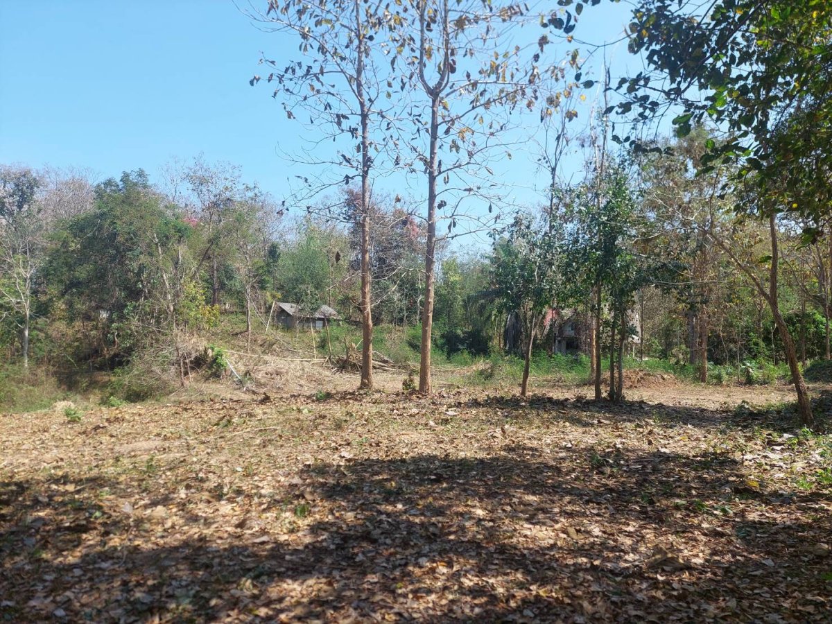 ขายที่ดินบ้านปง อ.หางดง จ.เชียงใหม่ 416ตรว
