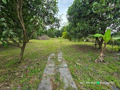 ขายบ้านสวนวิวเขาล้อม 1 ไร่ 3 งาน 40 ตรว. พร้อมอยู่ ต.สาริกา อ.เมืองนครนายก ทำเลดี ใกล้แมคโคร ใกล้น้ำตกและอ่างเก็บน้ำหลายแห่ง - รูปที่ 3