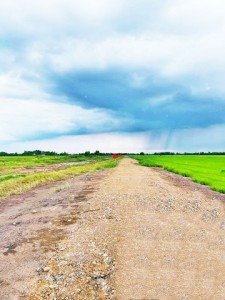ขาย ที่ดิน ที่ทำเกษตร4.5แสนต่อไร่ บ้านนา นครนายก ใกล้กับ คลอง30 อำเภอบ้านนา 900000 บาท 2 ไร่ 800 ตารางวา นครนายก    บ้านนา - รูปที่ 4