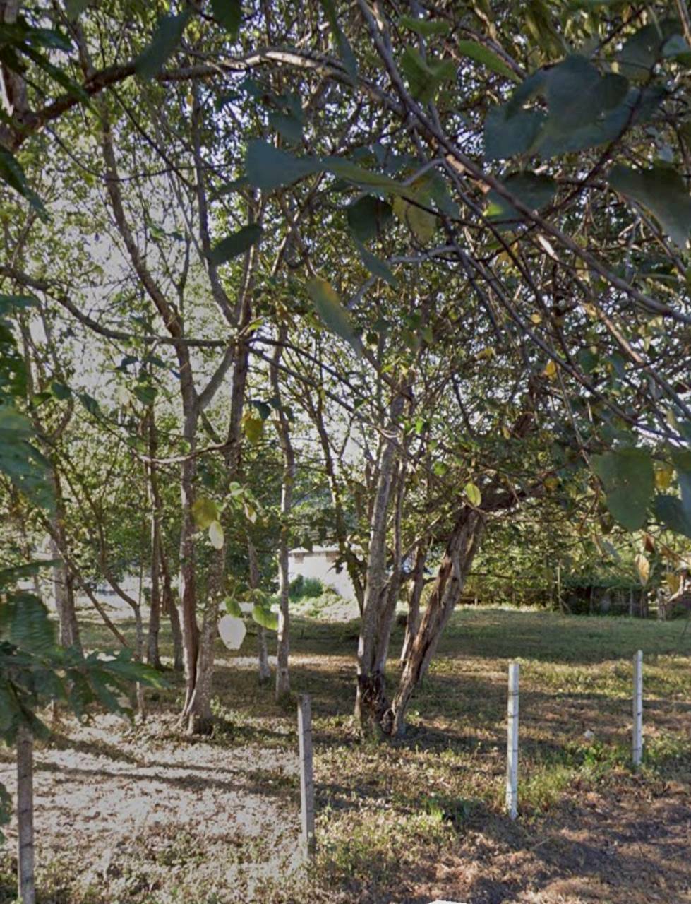 ขาย/เช่าระยะยาว ที่ดินบ้านปง อ.หางดง จ.เชียงใหม่ 2ไร่ 8 ล้าน