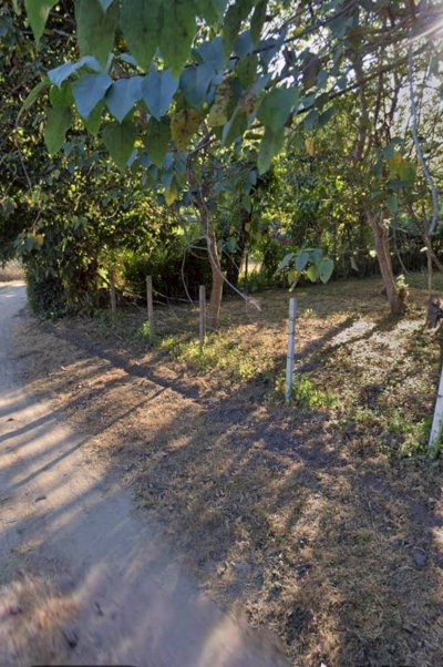 ขาย/เช่าระยะยาว ที่ดินบ้านปง อ.หางดง จ.เชียงใหม่ 2ไร่ 8 ล้าน - รูปที่ 2