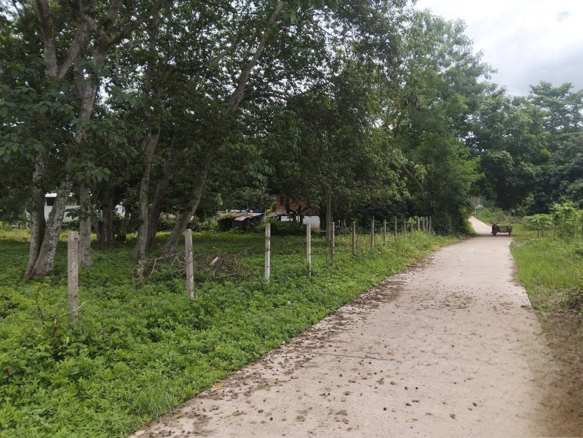 ขายที่ดินทำเลทอง ต.บ้านปง อ.หางดง จ.เชียงใหม่