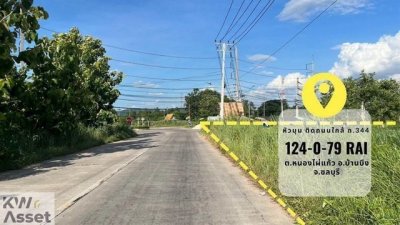 ขายที่ดินสุดปัง 124-0-79 ไร่ สำหรับทำโรงงาน แห่งบ้านบึง ชลบุรี - รูปที่ 4