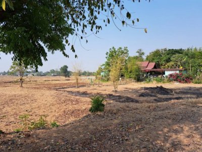 ขายที่ดินเปล่า เนื้อที่ 6-3-3 ไร่ เยื้องกับโรงเรียนอนุบาลบ้านบัว เมืองบุรีรัมย์ - รูปที่ 4