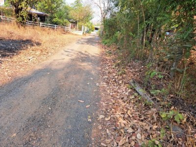 ขายที่ดินเปล่า เนื้อที่ 6-3-3 ไร่ เยื้องกับโรงเรียนอนุบาลบ้านบัว เมืองบุรีรัมย์ - รูปที่ 7