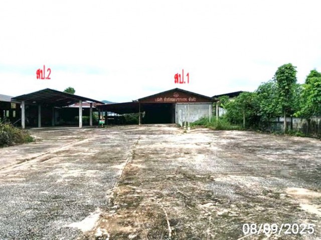 ขายโกดัง เลย ถนน สายเลย - เชียงคาน ตำบลนาอ้อ อำเภอเมืองเลย