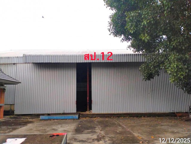 ขายโกดัง เชียงใหม่ ถนน บ้านแม่ขาน-บ้านป่าลาน ตำบล สันติสุข อำเภอ ดอยหล่อ