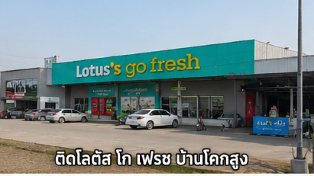 ที่ดินติดถนน 8 เลน บ้านโคกสูง 19 ไร่ 3 งาน 30 ตร.ว.ติดโลตัส โก เฟรช บ้านโคกสูง ขาย-ให้เช่า 44,999-49,999B-M ใกล้ตลาดบ้านโคกสูง เหมาะทำธุรกิจ