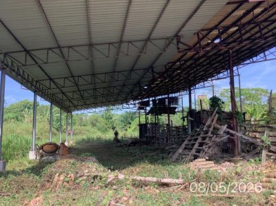 ขายโรงงาน นครศรีธรรมราช ถนน รามาลิ้มกาเฉื้อง ตำบล จันดี อำเภอ ฉวาง จังหวัด นครศรีธรรมราช - รูปที่ 6