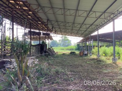 ขายโรงงาน นครศรีธรรมราช ถนน รามาลิ้มกาเฉื้อง ตำบล จันดี อำเภอ ฉวาง จังหวัด นครศรีธรรมราช - รูปที่ 3