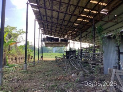 ขายโรงงาน นครศรีธรรมราช ถนน รามาลิ้มกาเฉื้อง ตำบล จันดี อำเภอ ฉวาง จังหวัด นครศรีธรรมราช - รูปที่ 4