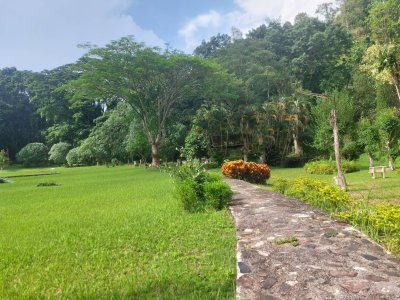ที่ดินบ้านปง เชียงใหม่ ที่ดินเป็น นส 3 พื้นที่ 32ไร่ ขายราคา 150ล้าน  ราคาคุยได้ - รูปที่ 8