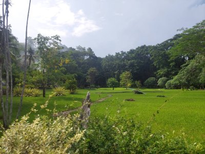 ที่ดินบ้านปง เชียงใหม่ ที่ดินเป็น นส 3 พื้นที่ 32ไร่ ขายราคา 150ล้าน  ราคาคุยได้ - รูปที่ 2