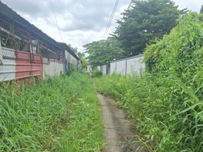 ขายที่ดินเปล่า 99 ตรว. ใกล้สถานีรถไฟฟ้าหลักหก, โรงเรียนสายปัญญารังสิต - รูปที่ 7