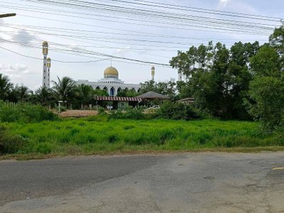 ขายถูกมาก!! ที่ดิน 45 ตร.ว. 2 แปลงติดกัน ติดถนน ทำเลทอง ต.คลองแห อ.หาดใหญ่ จ.สงขลา ใกล้ตลาดน้ำ บิ๊กซีฯ - รูปที่ 3