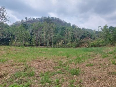 ขายที่ดินบ้านปงแปลงใหญ่ 14 ไร่ ราคา 89.6 ล้าน - รูปที่ 2