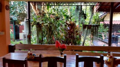 ขาย/เช่าระยะยาว รีสอร์ท อำเภอดอยสะเก็ด จังหวัดเชียงใหม่ มี 2โฉนด  ราคา 55 ล้าน  (รวมทั้งหมด 6-0-86 ตรว)มีพื้นที่งอก 200 - รูปที่ 3