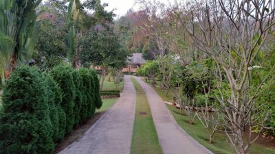ขาย/เช่าระยะยาว รีสอร์ท อำเภอดอยสะเก็ด จังหวัดเชียงใหม่ มี 2โฉนด  ราคา 55 ล้าน  (รวมทั้งหมด 6-0-86 ตรว)มีพื้นที่งอก 200 - รูปที่ 5