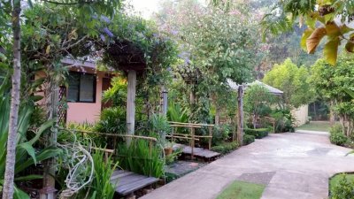 ขาย/เช่าระยะยาว รีสอร์ท อำเภอดอยสะเก็ด จังหวัดเชียงใหม่ มี 2โฉนด  ราคา 55 ล้าน  (รวมทั้งหมด 6-0-86 ตรว)มีพื้นที่งอก 200 - รูปที่ 2