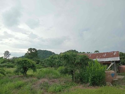 ขายที่ดิน10 ไร่ พร้อมสวนลำไยและสระน้ำ ทำเลโป่งน้ำร้อน จันทบุรี - รูปที่ 4