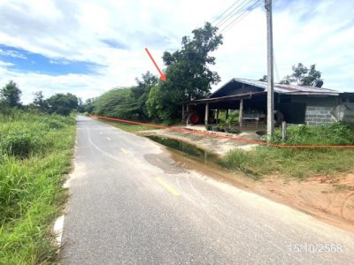 ขายโรงงาน กาฬสินธุ์ ถนน สายกุฉินารายน์ ตำบล กุดสิมคุ้มใหม่ อำเภอ เขาวง จังหวัด กาฬสินธุ์ - รูปที่ 2