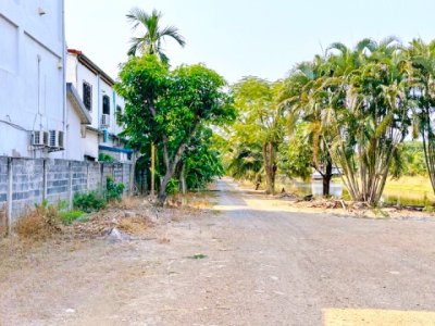 ที่ว่าการอำเภอลำลูกกา ตรงข้าม 7-Eleven บ้านเล็กในป่า 6ไร่ ที่ดินให้เช่า นิมิตรใหม่ ลำลูกกา คลอง 7 หน้ากว้าง 48 ม. - รูปที่ 3