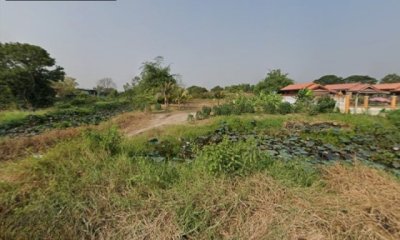ใกล้รพ.บางไทร 1 กม CJ MORE บางไทร 900 ม. อยุธยา พื้นที่เกือบไร่ 3 งาน 59 ตร.ว.  ที่ดินแปลงสวย ใกล้แม่น้ำเจ้าพระยา - รูปที่ 6