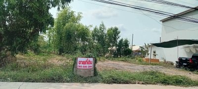 ขายถูกมาก!! ที่ดิน 3 แปลง 56 57 79 ตร.ว. ติดถนน 4 เลน ทำเลทอง อ.ไพรบึง จ.ศรีสะเกษ ใกล้ตลาด โรงพยาบาลฯ - รูปที่ 4