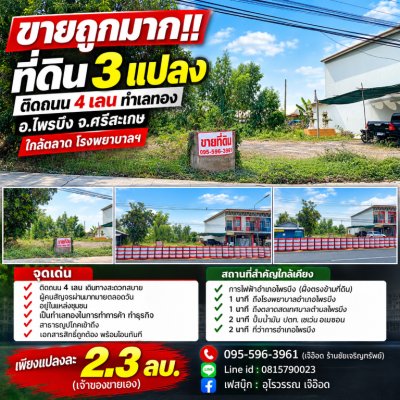 ขายถูกมาก!! ที่ดิน 3 แปลง 56 57 79 ตร.ว. ติดถนน 4 เลน ทำเลทอง อ.ไพรบึง จ.ศรีสะเกษ ใกล้ตลาด โรงพยาบาลฯ - รูปที่ 2