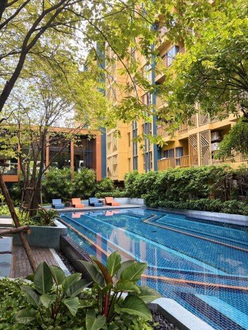 The Base Sukhumvit 50 Convenient Clean 6th Floor BTS Onnut - รูปที่ 3