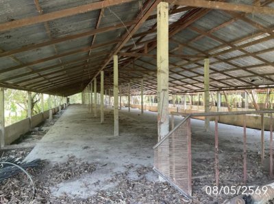 ขายโกดัง เชียงราย ถนนสายบ้านเวียงเดิมบ้านไตรแก้ว อำเภอเวียงชัย - รูปที่ 3