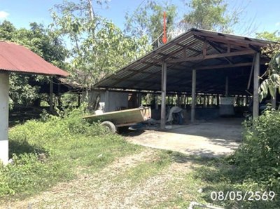 ขายโกดัง เชียงราย ถนนสายบ้านเวียงเดิมบ้านไตรแก้ว อำเภอเวียงชัย - รูปที่ 5
