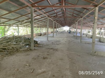 ขายโกดัง เชียงราย ถนนสายบ้านเวียงเดิมบ้านไตรแก้ว อำเภอเวียงชัย - รูปที่ 7