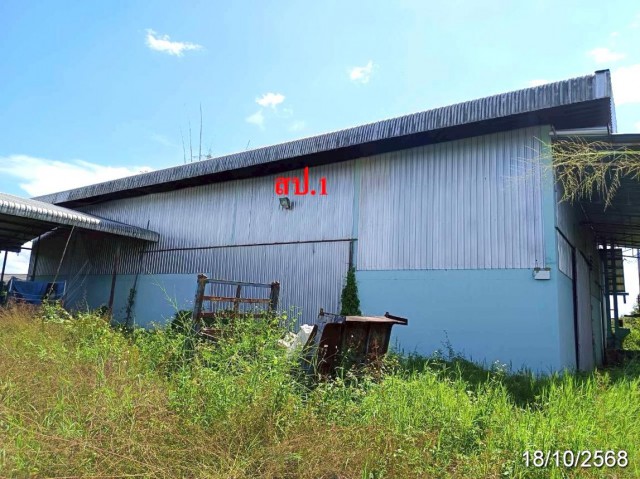 ขายโกดังเชียงใหม่ ถนน บ้านม่วงถ้อย ตำบลป่าไหน่ อำเภอพร้าว