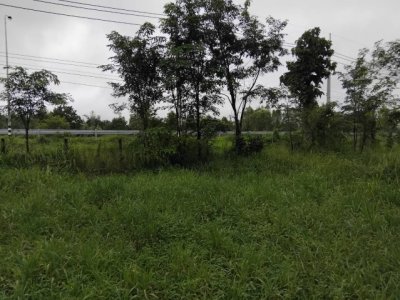 ขายด่วน! ที่ดิน 2 ไร่ ทำเลทอง อ.เลิงนกทา จ.ยโสธร (เจ้าของขายเอง) - รูปที่ 5