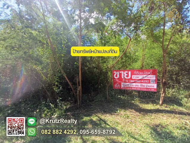 ขายที่ดินทำเลดี (ชุมชนบ้านกันผม) ใกล้ถนนวงแหวนรอบเมือง เนื้อที่ 2 งาน 29 ตร.ว. ต.พระพุทธ  อ.เฉลิมพระเกียรติ จ.นครราชสีมา