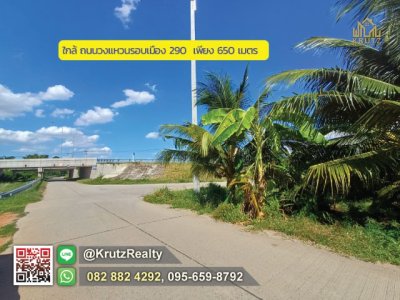 ขายที่ดินทำเลดี (ชุมชนบ้านกันผม) ใกล้ถนนวงแหวนรอบเมือง เนื้อที่ 2 งาน 29 ตร.ว. ต.พระพุทธ  อ.เฉลิมพระเกียรติ จ.นครราชสีมา - รูปที่ 5
