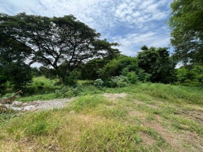 ที่ดินผืนงามติดแม่น้ำป่าสัก 11 ไร่เศษ ต.บ้านป่า อ.แก่งคอย จ.สระบุรี - รูปที่ 7