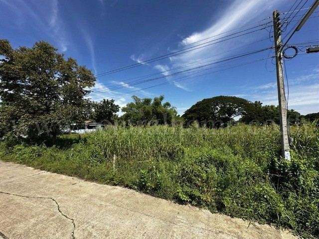 ที่ดิน บ้านปทุม สามโคก ทำเลดี ติดถนนสาธารณะ ถมแล้ว ใกล้ความเจริญ